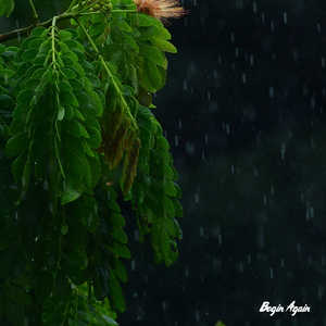 亚洲人精品亚洲人成在线
