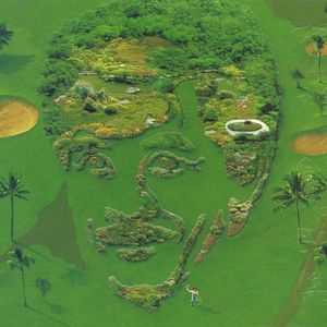 黄色免费在线看
