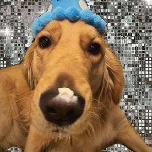 16日本XXXXXXXXX黑人
