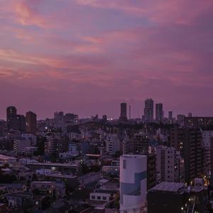 台湾小敏无码A片
