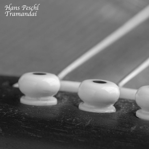 男妓日男妓屁股眼
