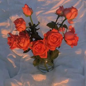 色黄仓库网站在线观看
