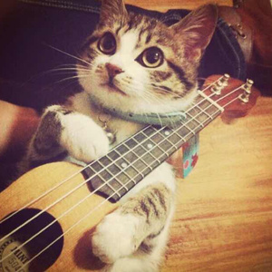 台湾小敏无码A片
