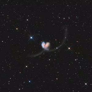 亚洲人精品亚洲人成在线
