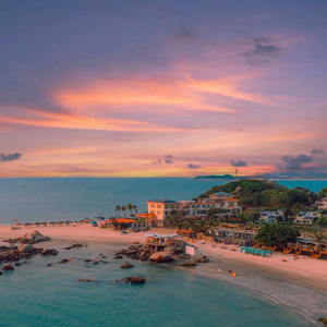 黄色免费在线看
